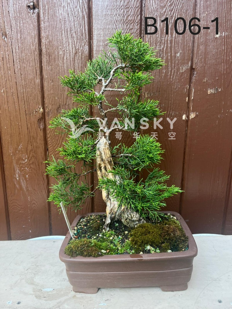 260224235134_B106-1 25-1 - 25-06.JPG